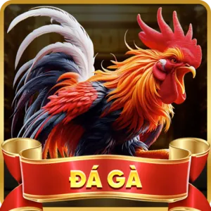 Ưu đãi đa dạng g666